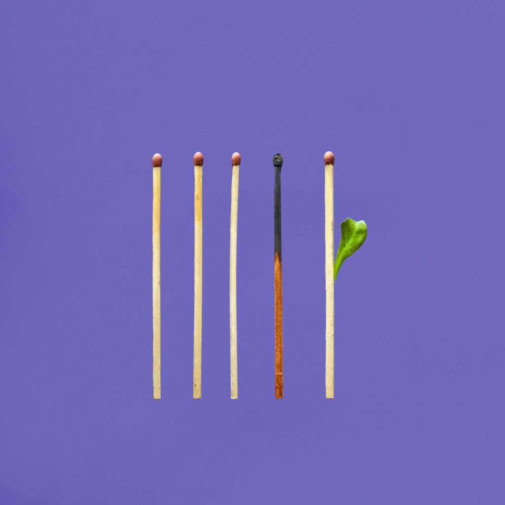 Desconexión emocional en equipos: 5 señales que no debes ignorar tangerine newt o04xDvWE33U unsplash scaled